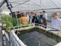 IMG_2645-devant-les-bassins-de-poissons-rouges