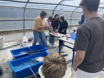 IMG_2646-en-pleine-seance-dinjection-dhormones